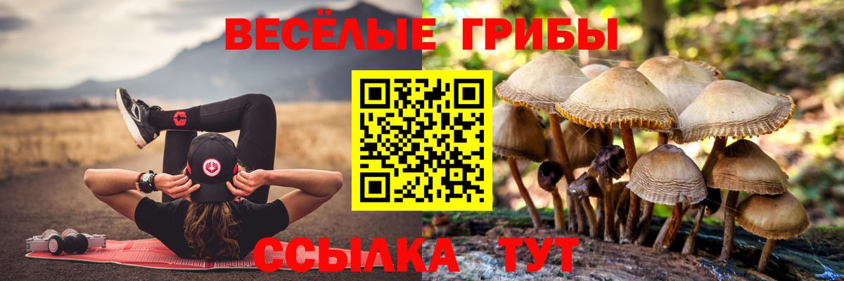 Галлюциногенные грибы мухоморы Истра
